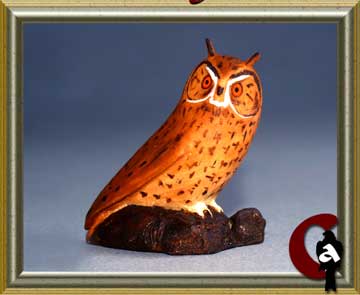 Northern long-eared owl - Asio otus